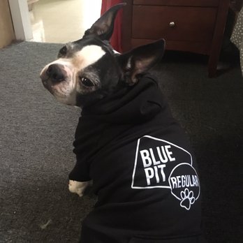 dog in Blue Pit BBQ