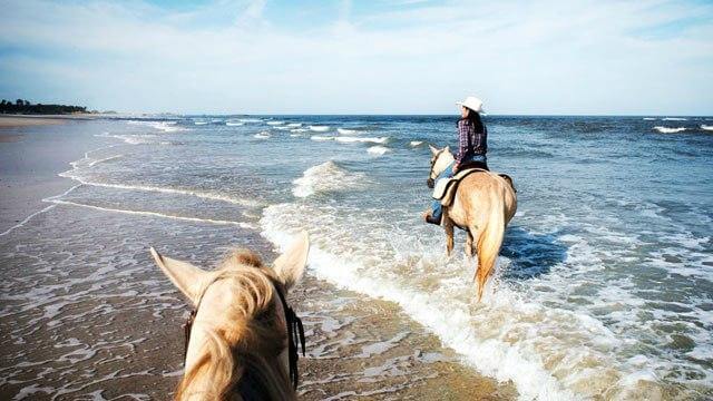 Kelly-Seahorse-Ranch-in-Amelia-Island