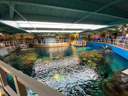 aquarium-of-the-pacific-dating-ideas