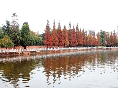 suggest you visit