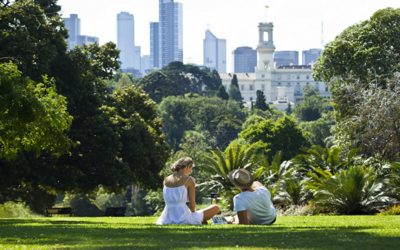 couple on a picnic