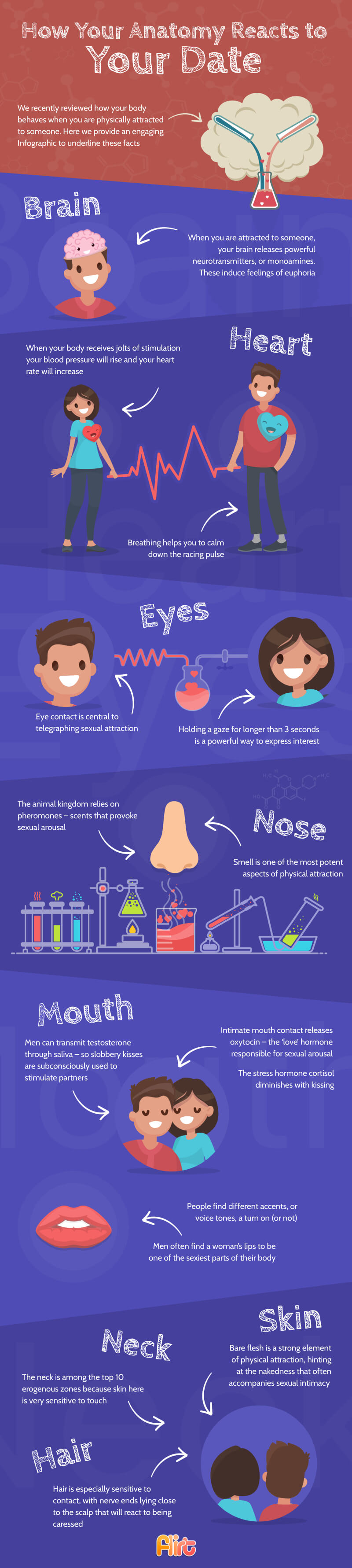 infographic anatomy of dating