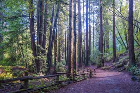 redwood-regional-park-dating-ideas