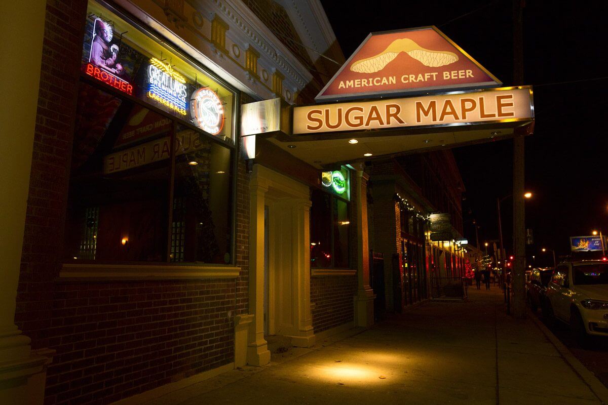 Sugar Maple