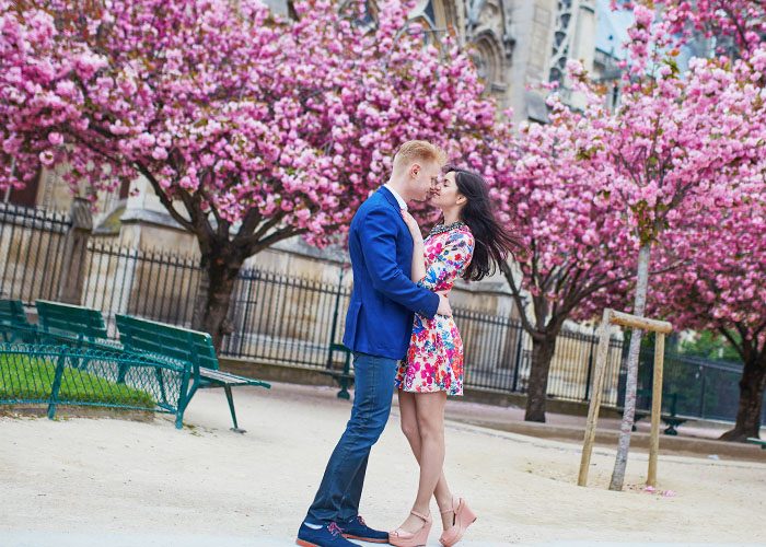 couple around sakuras and church