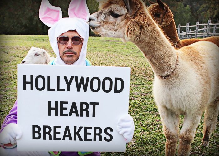 Robert Downey jr. with alpaca