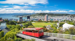 Lesbian dating in Wellington