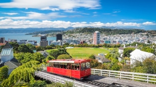 Dating in Wellington